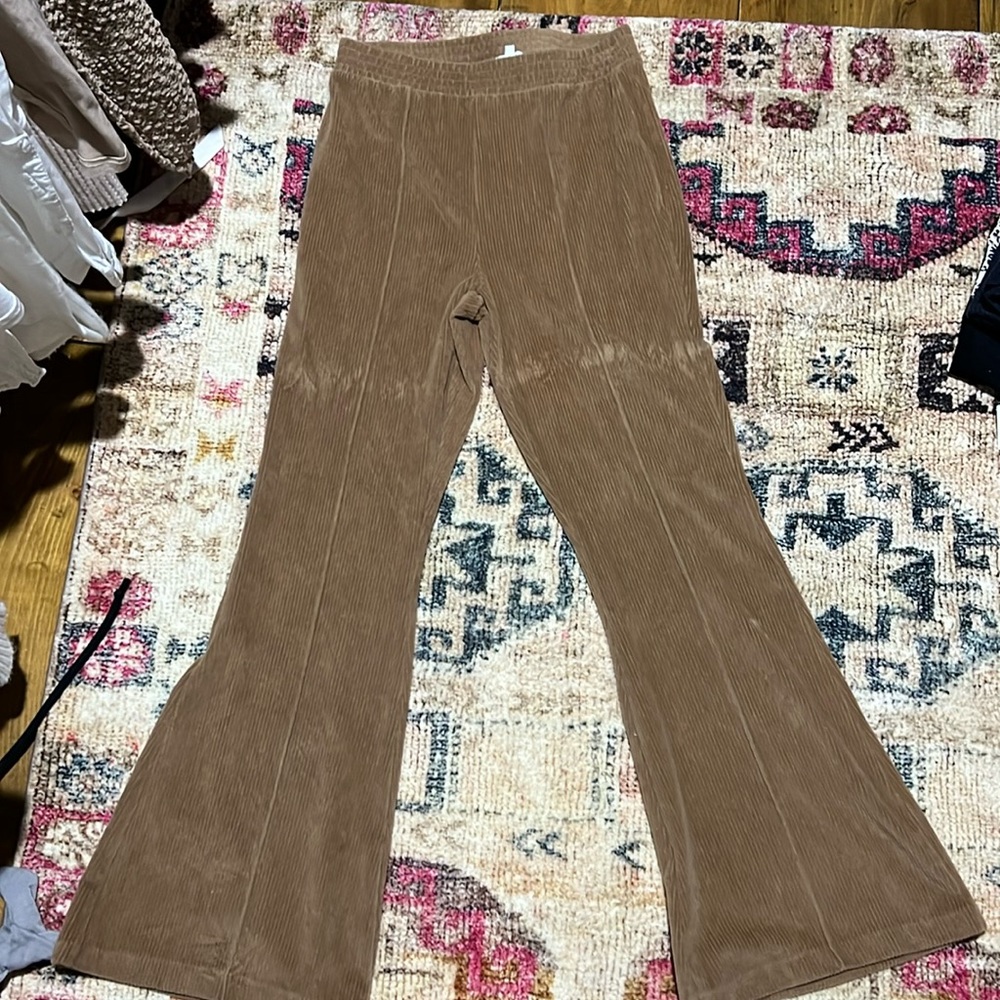 Velvet bell bottom pants! (Mark is from being on hanger!)